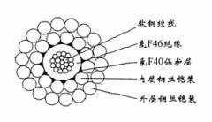 WGSF46-5.60mm單芯氟塑料F46絕緣F40護套雙鋼絲鎧裝承荷探測電纜