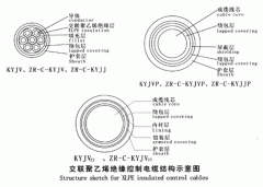 KYJV，KYJVP，KYJV22額定電壓0.6/1kV交聯聚乙烯絕緣控制電纜